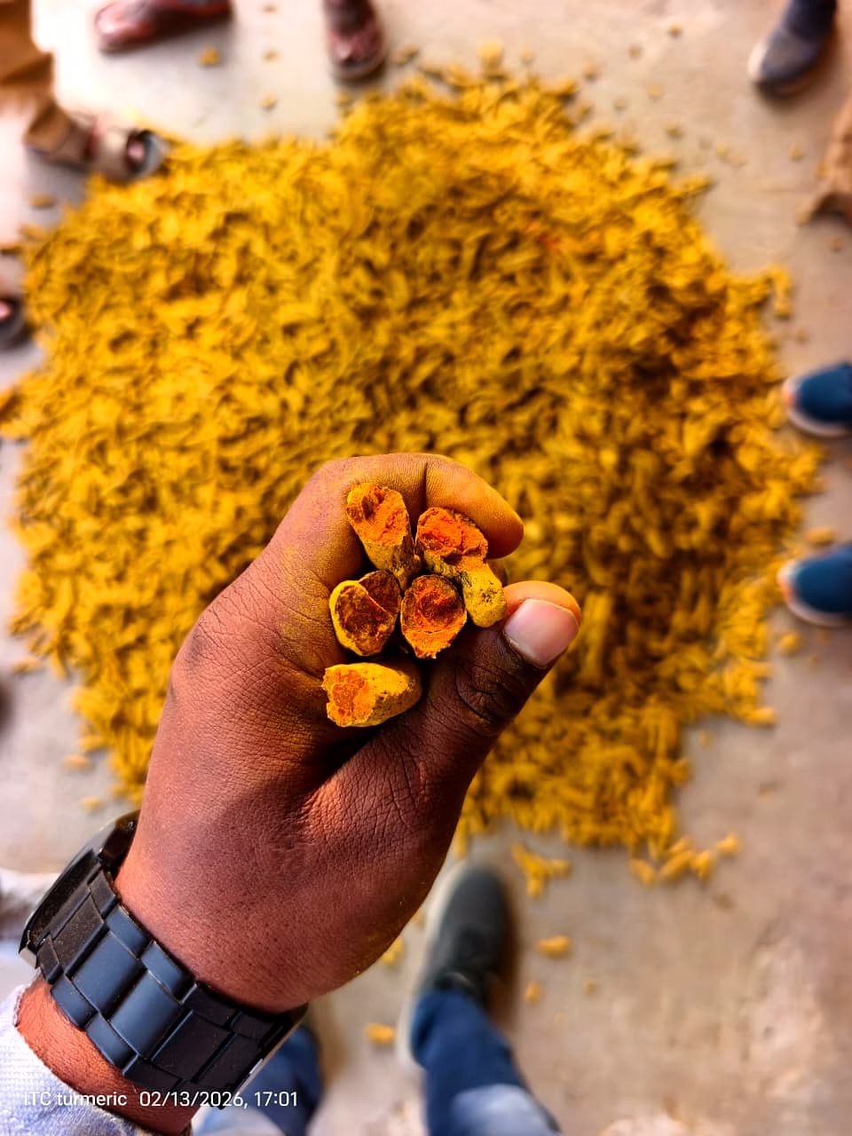 Turmeric Fingers Nizam Grade image 1
