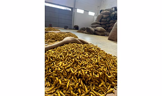 Turmeric Fingers FAQ Grade