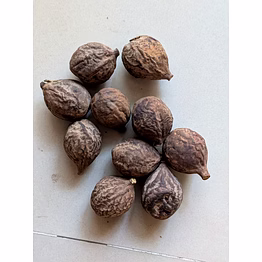 behda-baheda-terminalia bellirica