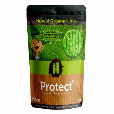 protect spray adjuvant 500gmx20
