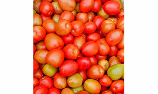Fresh vegetables