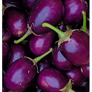 BRINJAL