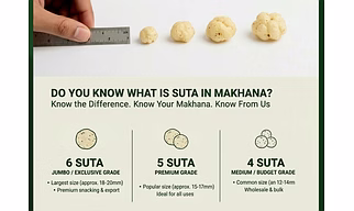 Fox nut (Makhana)