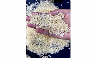 Indian Basmati Rice