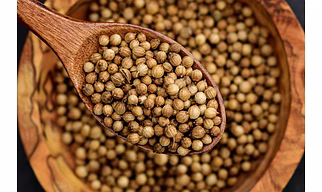 Coriander Seeds