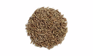 Cumin Seeds