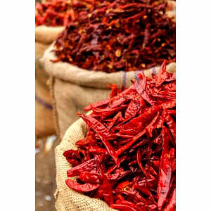 Premium Dry Red Chilli – Sun Dried