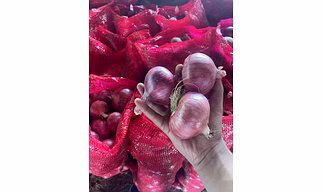 Summer Onions