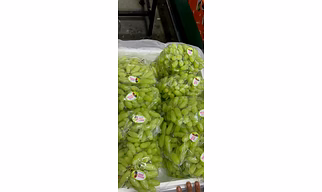Green Seedless Grapes