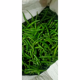 green chilli