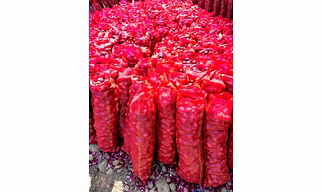 Nashik Onions