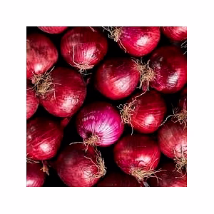 onion