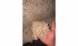 Chitin Flakes from Shrimp Shells – High Purity Industrial Grade / Food Grade
