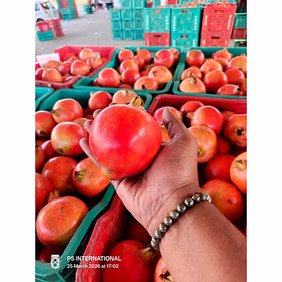 fresh pomegrantes direct from farm