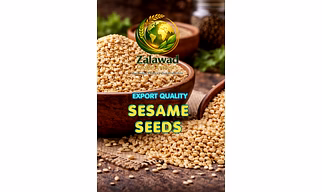 SESAME SEEDS