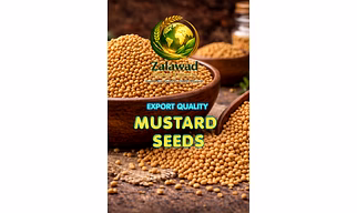 MUSTARD SEEDS