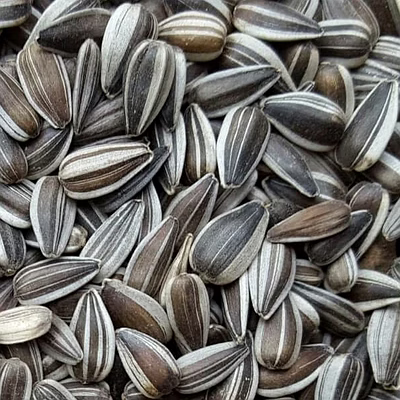 sunflower seeds (striped)