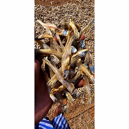 naturally dried anchovies