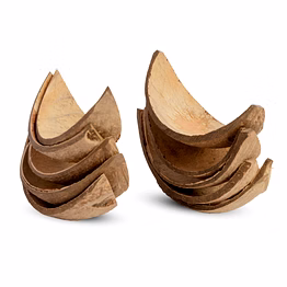 thenga coconut shell boats | sustainable serving tableware
