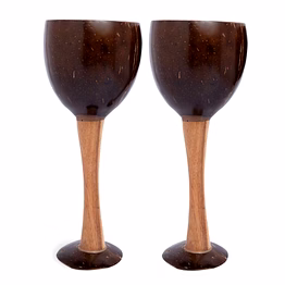 thenga coconut shell & wooden wine glass | handcrafted natural drinkware