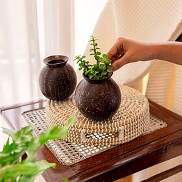 thenga coconut shell pot shaped planter pots | handcrafted natural planters