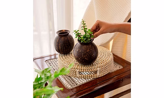 Thenga Coconut Shell Pot Shaped Planter Pots | Handcrafted Natural Planters