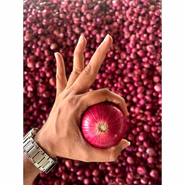onion