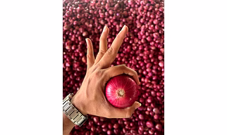 Onion