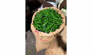 Green Chilly