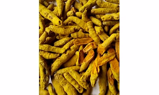 Turmeric Finger Maharashtra, clean and polished, 3.5%curcumin