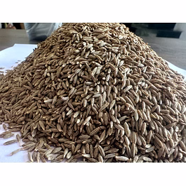 cumin seeds singapore 99 machine cleaned/sortex