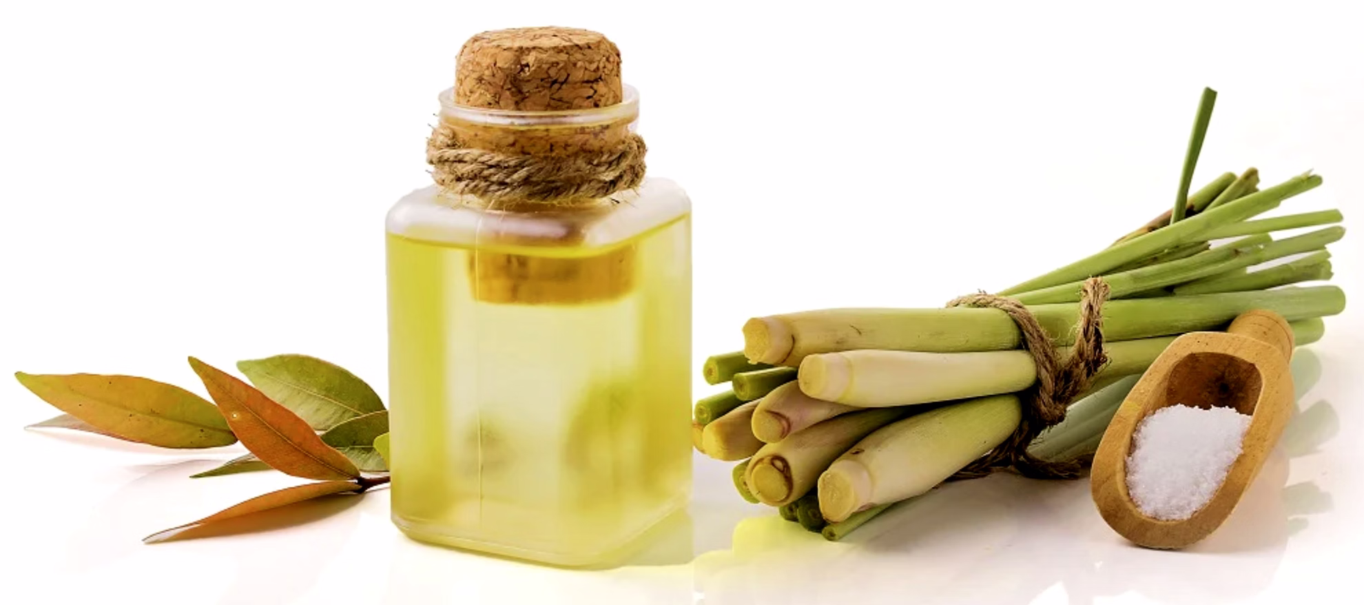 essential oil - lemon grass