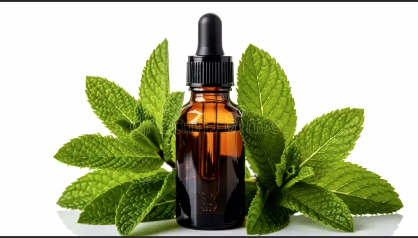 essential oil - peppermint