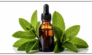 Essential Oil - Peppermint