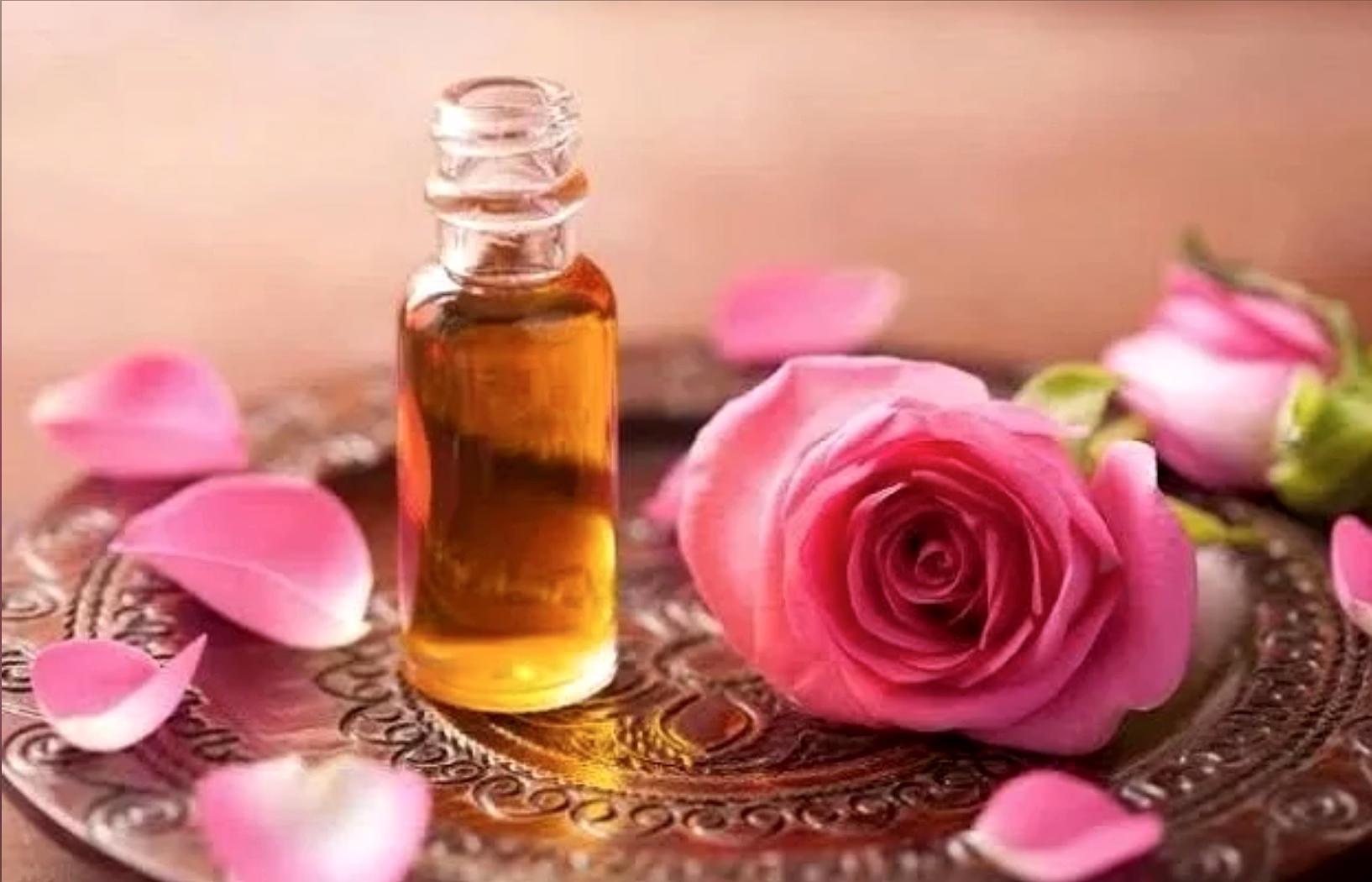 essential oil - rose oil