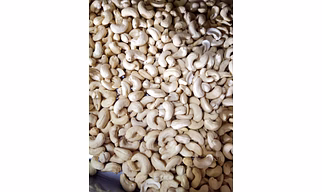 Cashew Nuts