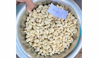 Cashew Nuts