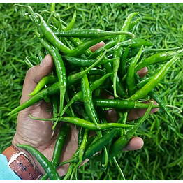 g4 green chili