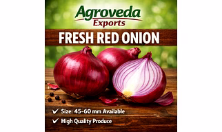 Red onion