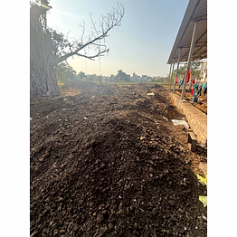 cow dung powder