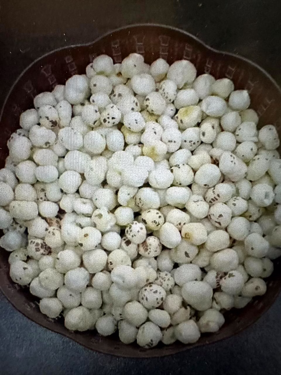 Premium Grade Makhana - The Perfect Nutritious Ingredient image 2