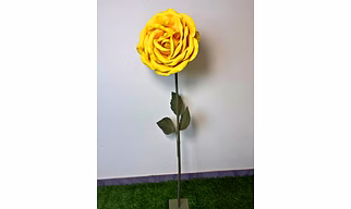Giant Yellow Rose