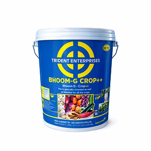 Bhoom G Crop