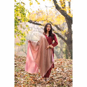 Pink and Gold Zari Weave Reversible Pashmina Stole