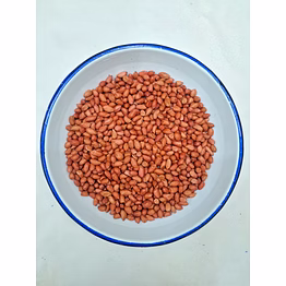 peanut bold