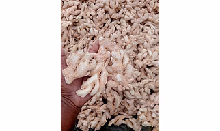 Dried Ginger
