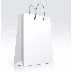 White Paper Bag