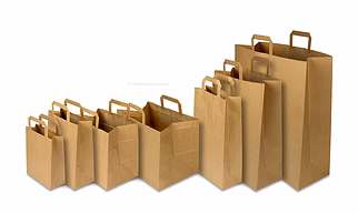 Brown Kraft Flat Handle Carry Bag with L: 240-450 mm, W: 230-450 mm, gusset: 80-220 mm