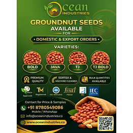 groundnut seeds peanuts