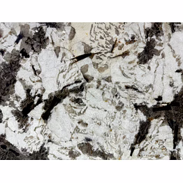 indian alpine white
